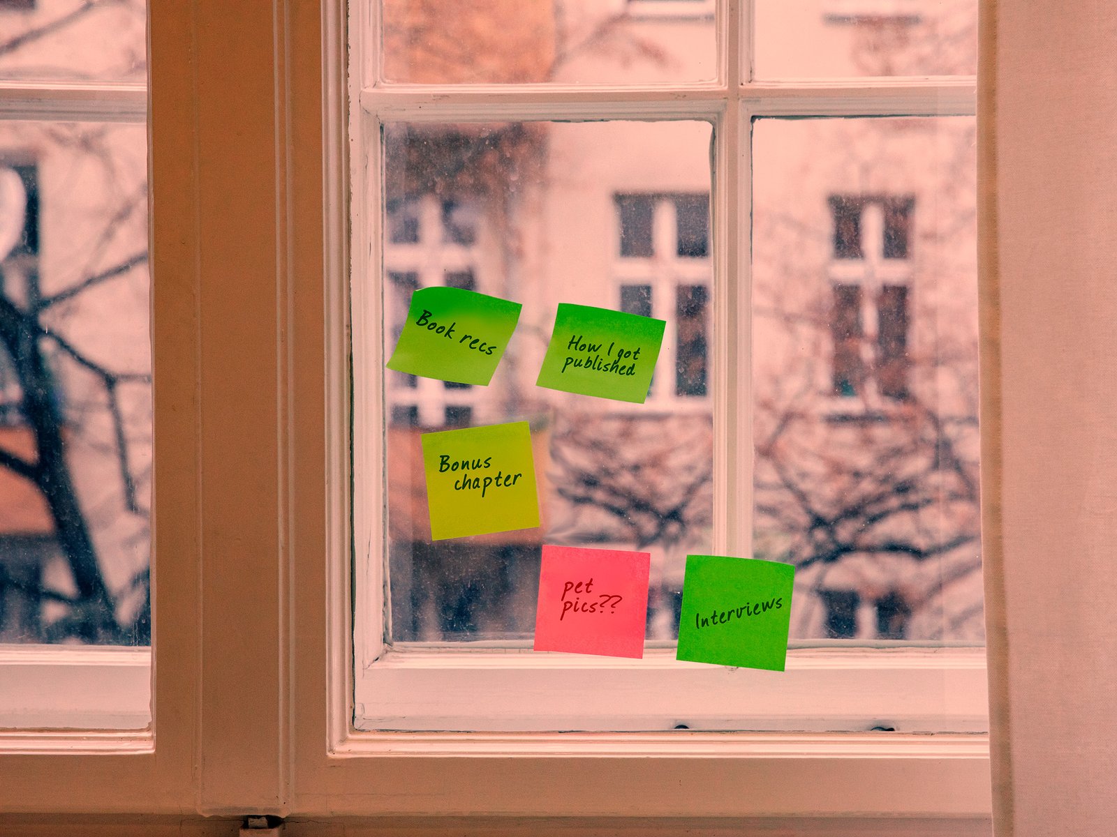 Window with book content ideas on it